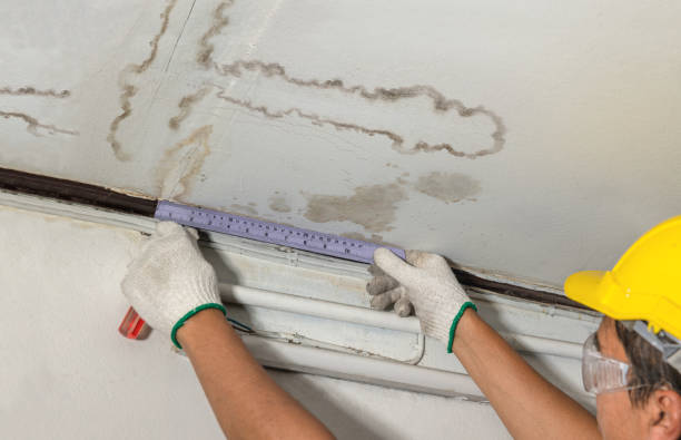 Reliable Mold Remediation contractor in Portsmouth, NH by Local Water Damage Repair
